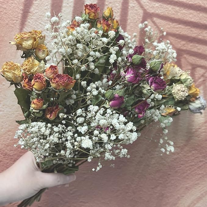 L'BREVOGA Dried Flowers with Stem, 16 inches Dried Spray Rose with Baby's Breath for Floral Arrangments Home Decoration (Rose)