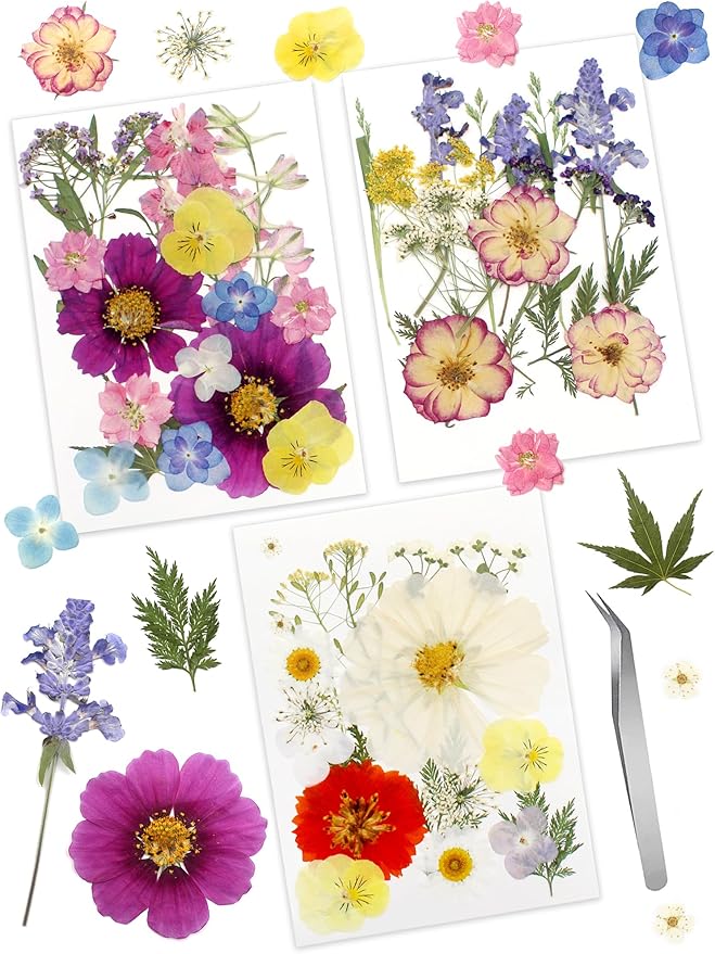 Real Dried Pressed Leaves for Candle Resin Jewelry Soap Nail Pendant Phone Case Crafts Making Floral Decors Scrapbooking DIY (56 Pcs Natural Leaf Flowers)
