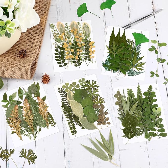 Nuanchu 99 Pieces Assorted Pressed Leaves for Crafts Real Dried Leaves for Resin Plant Herbarium Flowers for Art Craft DIY Jewelry Decoration Handmade Bookmarks, 5 Bags (Stylish Style)