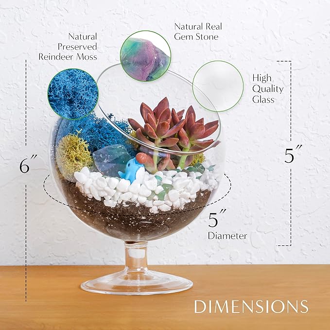 6" DIY Chalice Terrarium Kit with Live Plants - Build Your Own Glass Terrarium for Adults & Kids with Moss, Crystals, Soil, Tools & Figurine - Mini Ecosystem - Made in The USA