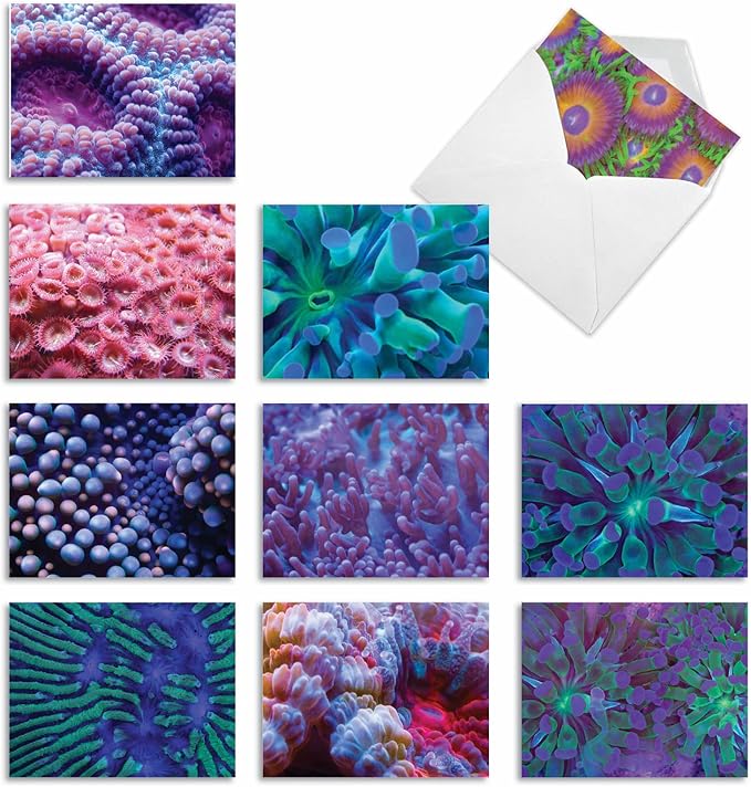 The Best Card Company - 10 All Occasion Blank Cards for Men and Women (4 x 5.12 Inch) - Nautical, Ocean, Sea Life Assortment of Notecards - Under the Sea M3103
