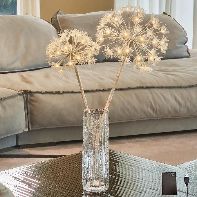 Hairui Lighted Willow Branches with Timer 70 Warm White LED Lights, Artificial Dandelion Branches with Lights 27IN Battery Operated and USB Plug in for Room Fireplace Table Christmas Decor
