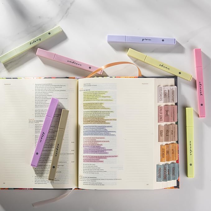 DIVERSEBEE Bible Highlighters with Soft Chisel Tip, 8 Pack Assorted Colors Pens No Bleed, Quick Dry, Cute Aesthetic Markers, Bible Study Journaling Supplies and Accessories (Figs)