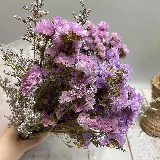 L'BREVOGA Dried Flowers with Stem, 16 inches Statice/Sea Lavender Dried Flower for Floral Arrangments Home Decoration (Statice)