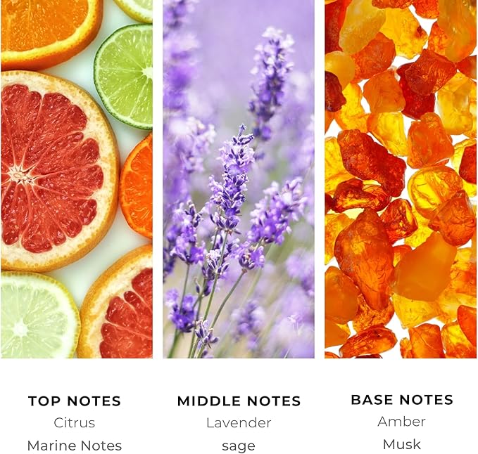 Brilliant Scents Break Line Fragrance Oil 120ml - Premium Diffuser Oil for Home, Office, Hotels - Long Lasting, Plant-Based, Meets IFRA Standards, USA-Made - Marine, Citrus, Musk