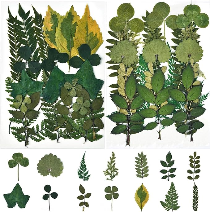 DALARAN 42 PCS Dried Flowers for Craftsl Dried Pressed Leaves Natural Leaves for Pressed Leaf Art Craft DIY ,14 Styles
