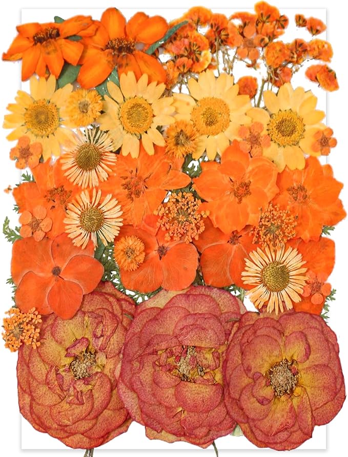 14 Types 37pcs Orange Dried Pressed Flowers for Resin Molds,YouthBro Real Natural Pressed Flowers for DIY Art Crafts,Candle Making, Nails Décor,Soap Making, Phone Case