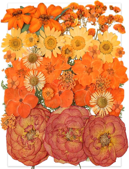 14 Types 37pcs Orange Dried Pressed Flowers for Resin Molds,YouthBro Real Natural Pressed Flowers for DIY Art Crafts,Candle Making, Nails Décor,Soap Making, Phone Case