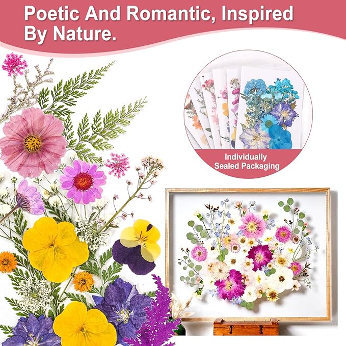 Pressed Dried Flowers 102pcs Natural Mixed Colors – Real Preserved Petals for Crafting, Art, Candles, Scrapbooking, Floral Decor, Nail Design – Dried Flowers for Crafts & Pressed Flowers Kit