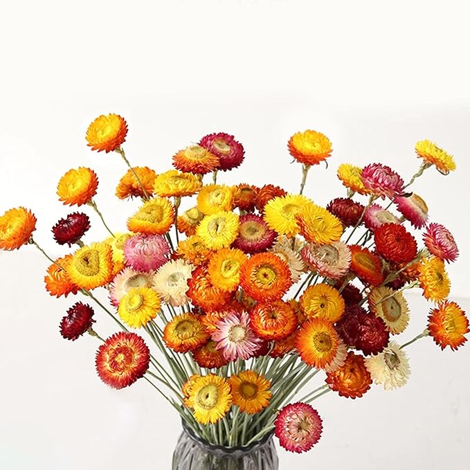 24 Pcs Natural Dried Straw Flowers Daisy, Orange Dried Flowers Arrangements for Vase, Home Office Wedding Table Centerpiece Farmhouse DIY Decor, Yellow