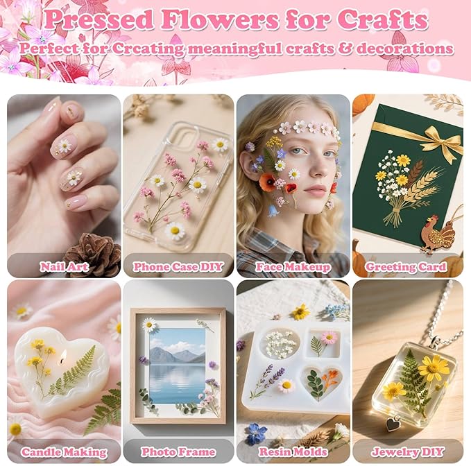 630 Pcs Dried Pressed Flowers with Butterfly Stickers for Crafts, Real Pressed Wildflowers Dry Leaves Bulk with Tweezer for Resin Jewelry Molds Candle Soap Making Scrapbook Bookmark Nails Decor