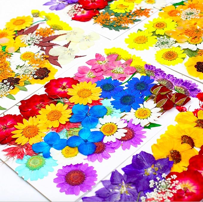 152 Pcs Dried Pressed Flowers for Resin and Nails, Real Natural Flowers Leaves and Butterfly Stickers for Jewelry Soap and Candle Making