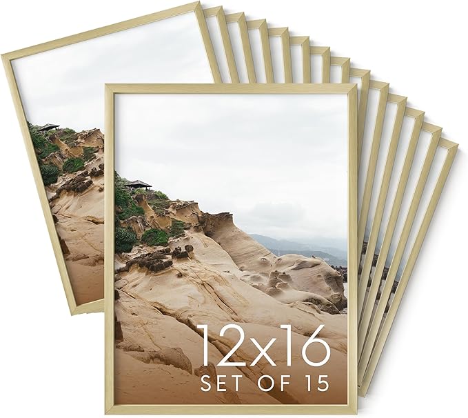 HAUS AND HUES 12x16 Gold Metal Picture Frames - Premium Aluminum with Vertical & Horizontal Hanging, Shatterproof Plexiglass - Perfect for Home, Office (12x16 in, Gold, Set of 15)
