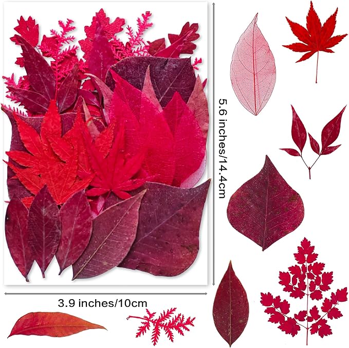 Red Dried Pressed Leaf Leaves, YouthBro 30PCS Real Nature Plant Herbarium Set for DIY Jewelry Candle Soap Art Craft Decors,Red