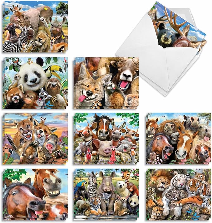 The Best Card Company - 20 Assorted Bulk Animal Cards Boxed (4 x 5.12 Inch) (10 Designs, 2 Each) - Here's Looking At Zoo AM6639OCB-B2x10
