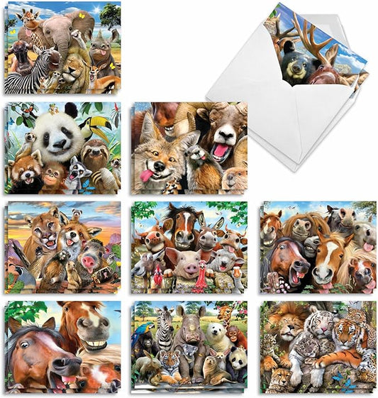 The Best Card Company - 20 Assorted Bulk Animal Cards Boxed (4 x 5.12 Inch) (10 Designs, 2 Each) - Here's Looking At Zoo AM6639OCB-B2x10