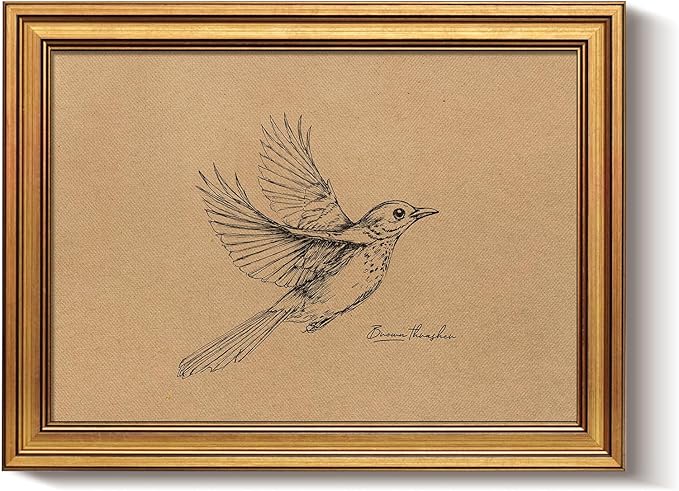 Bzstyleart Vintage Wall Art Decor,Georgia Bird Vintage Gold Framed Wall Art,Sketch Painting Picture,Room Decor Aesthetic,Canvas Prints for Apartment Decor Kitchen Bathroom Office,12L x 16W