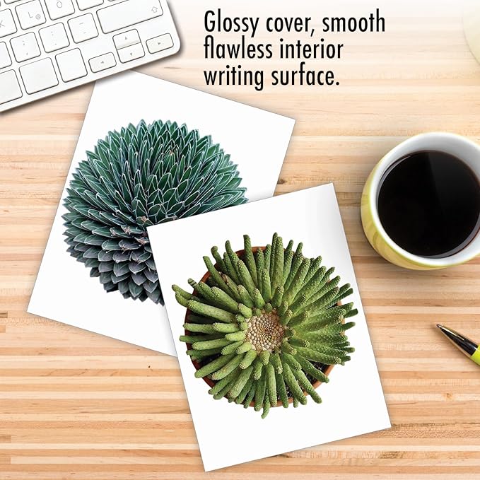The Best Card Company - 20 Assorted Blank Plant Cards Boxed (4 x 5.12 Inch) (10 Designs, 2 Each) - Luscious Succulents AM6287OCB-B2x10