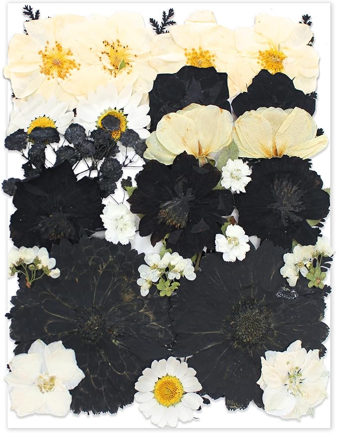 Large Black Dried Pressed Flower for Crafts,Large Big Real Nature Dry Pressed Flowers for Resin Molds Candle Making Phone Cases DIY Art Crafts Jewelry Making