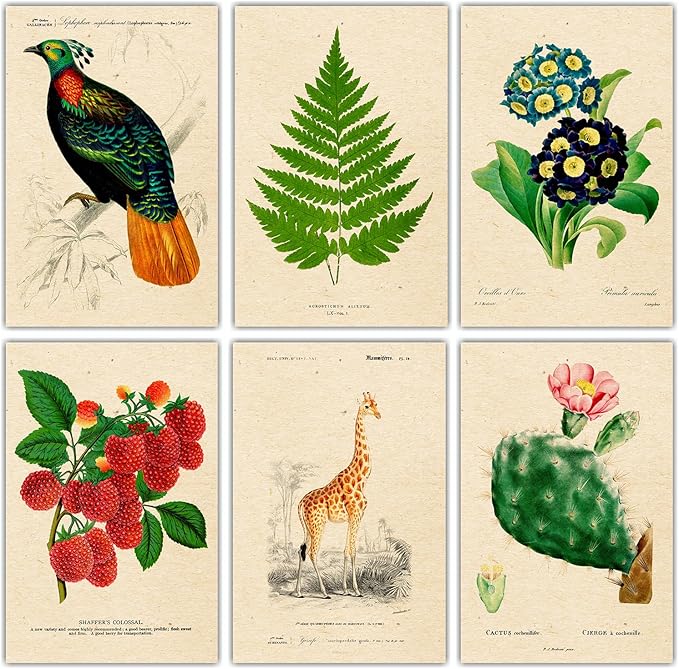 PARTH iMPEX 36 Blank Vintage Note Cards with Envelopes and Stickers – 4x6 Botanical Greeting Cards Bulk – Floral Birds Leaves Animal Retro All Occasion Thank You Cards for Personal Business Use
