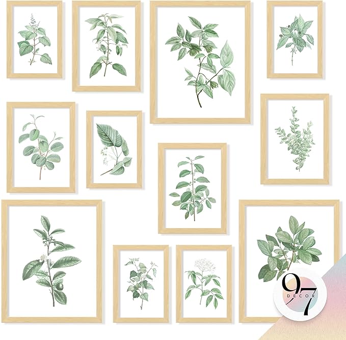 97 Decor Vintage Botanical Wall Art - Greenery Plant Posters For Room Aesthetic, Retro Green Plant Pictures Wall Decor, Vintage Botanical Prints For Home Bedroom Office Decorations (unframed)