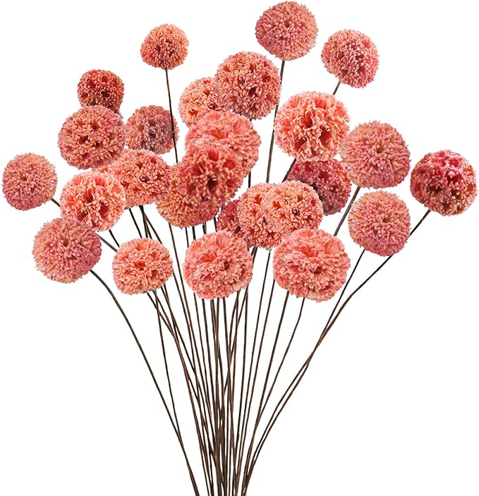 24 PCS Dried Craspedia Billy Balls Flowers, 18” Natural Dried Flowers Bouquet for Vase Floral Arrangements Wedding Table Centerpieces Party DIY Home Decor (Pink)