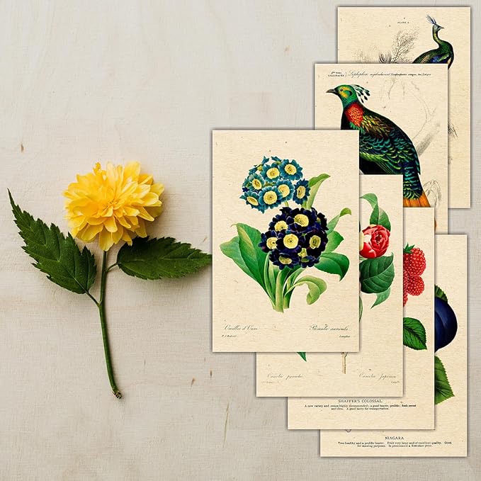 PARTH iMPEX 36 Blank Vintage Note Cards with Envelopes and Stickers – 4x6 Botanical Greeting Cards Bulk – Floral Birds Leaves Animal Retro All Occasion Thank You Cards for Personal Business Use