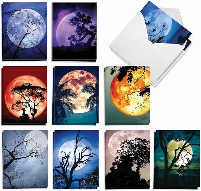 The Best Card Company - 20 Landscape Nature Note Cards Blank (4 x 5.12 Inch) (10 Designs, 2 Each) - Moonshine AM7169OCB-B2x10