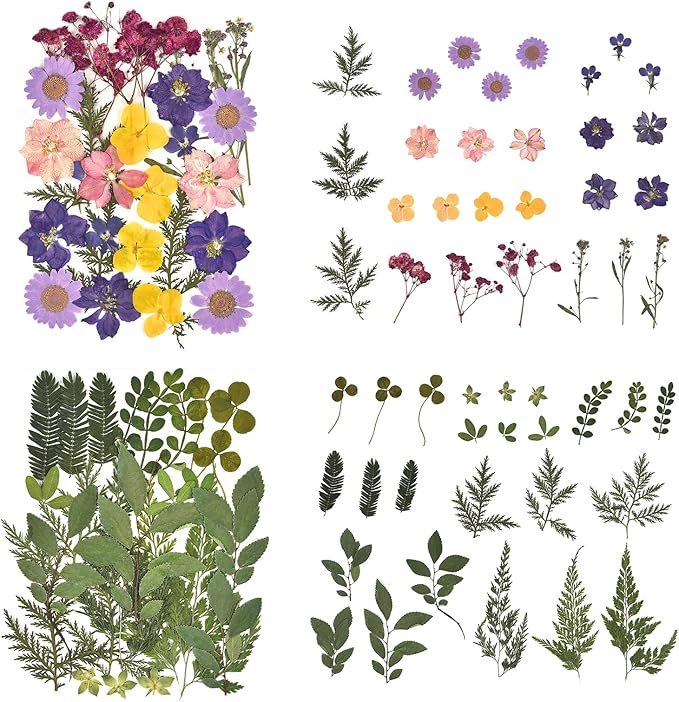 DALARAN 100Pcs Purple Dried Pressed Flowers for Resin Molds Real Dried Flowers Leaves Kit for Art Crafts Resin Jewelry Making Scrapbook Supplies Card Making Soap Candle DIY