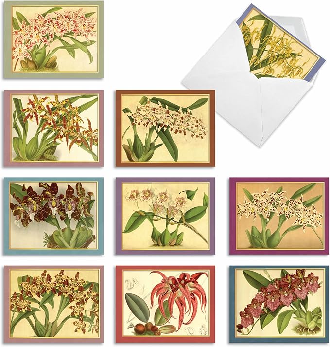 The Best Card Company - 10 Boxed Note Cards with Flowers - Blank Assorted Floral Notecards Bulk (4 x 5.12 Inch) - Tiger Orchids M10037BK