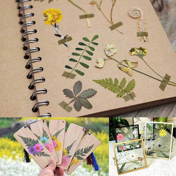 Cinvo 63 Pcs Real Dried Pressed Leaves Natural Dried Leaf for Candle Resin Jewelry Soap Nail Pendant Phone Case Crafts Making Floral Decors Scrapbooking DIY, 21 Styles