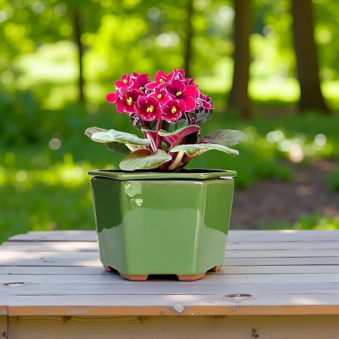 African Violet Pots 6 inch Hexagon Self-Watering Ceramic Pots 4.50'' Opening(Green)