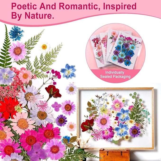 Natural Pressed Dried Flowers | Perfect for Resin Crafting, Art Projects, Scrapbooking, Nail Art, and Home Decor | Premium Preserved Petals & Leaves