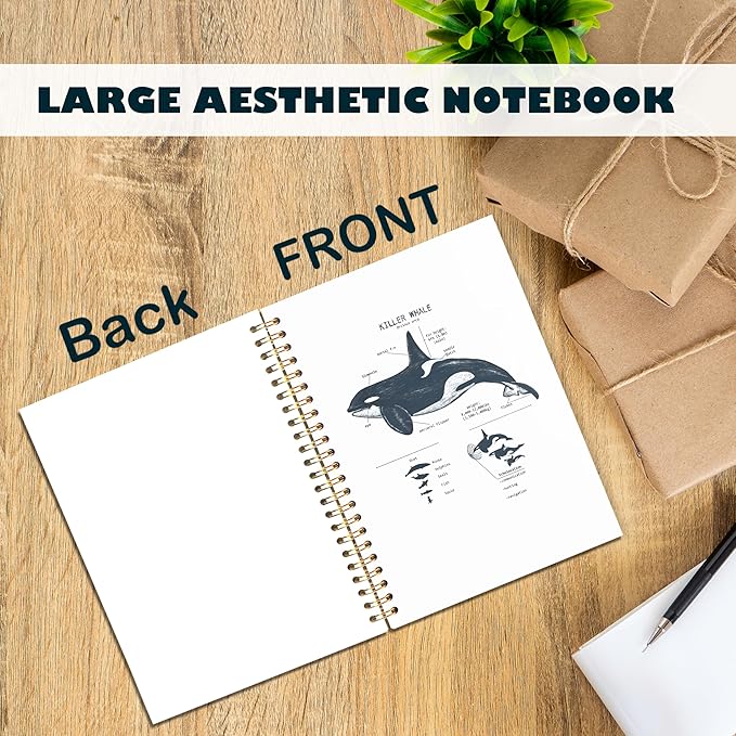 Killer Whale Notebook Journal for Note Taking, Marine Biology Gifts, Ocean Animal Beach Spiral Notebook, Ocean Themed Gifts, 5.5x8.3 Inch