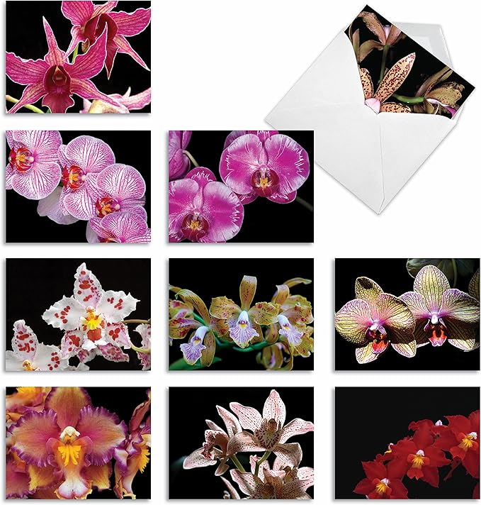 The Best Card Company - 10 Blank Note Cards with Flowers (4 x 5.12 Inch) - Floral Notecards, All Occasion Boxed Assortment - Orchid Nights M1734BN