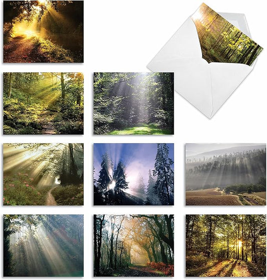 The Best Card Company - Box of 10 All Occasion Cards Blank (4 x 5.12 Inch) - Scenic Landscape Cards Assorted - Shining Through M1735BN