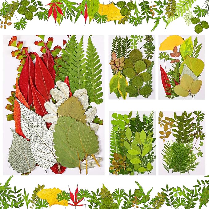 Nuanchu 99 Pieces Assorted Pressed Leaves for Crafts Real Dried Leaves for Resin Plant Herbarium Flowers for Art Craft DIY Jewelry Decoration Handmade Bookmarks, 5 Bags(Classic Style)