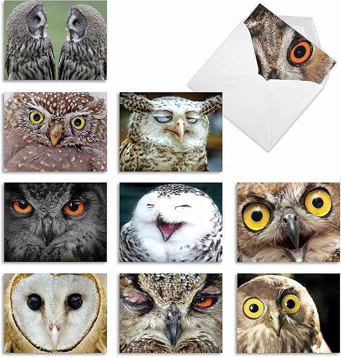 The Best Card Company - 10 Bird Note Cards Blank (4 x 5.12 Inch) - All Occasion Cards with Envelopes, Boxed Set - What a Hoot M1769BN