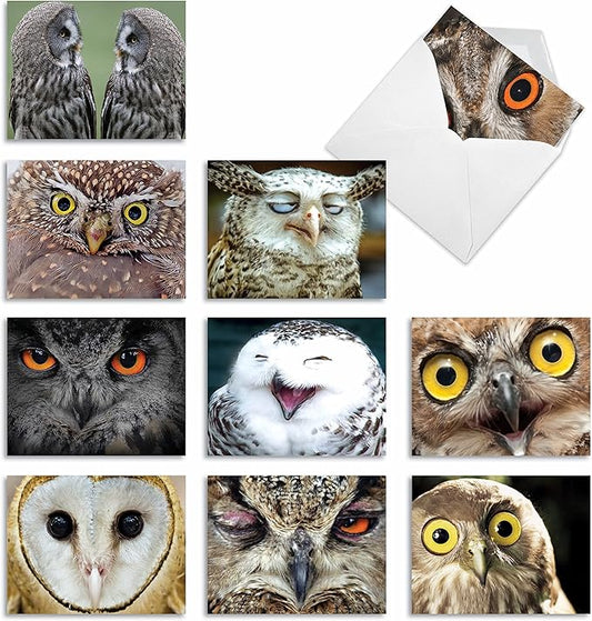 The Best Card Company - 10 Bird Note Cards Blank (4 x 5.12 Inch) - All Occasion Cards with Envelopes, Boxed Set - What a Hoot M1769BN