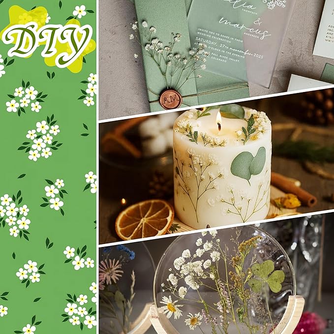 100Pcs White Baby’s Breath Dried Pressed Flowers - 4'' Real Natural Flat Flower Bulk Pack for Resin Art, DIY Craft, Wedding Invitations, Scrapbooking, Soap, Frame, Cake & Home Decoration