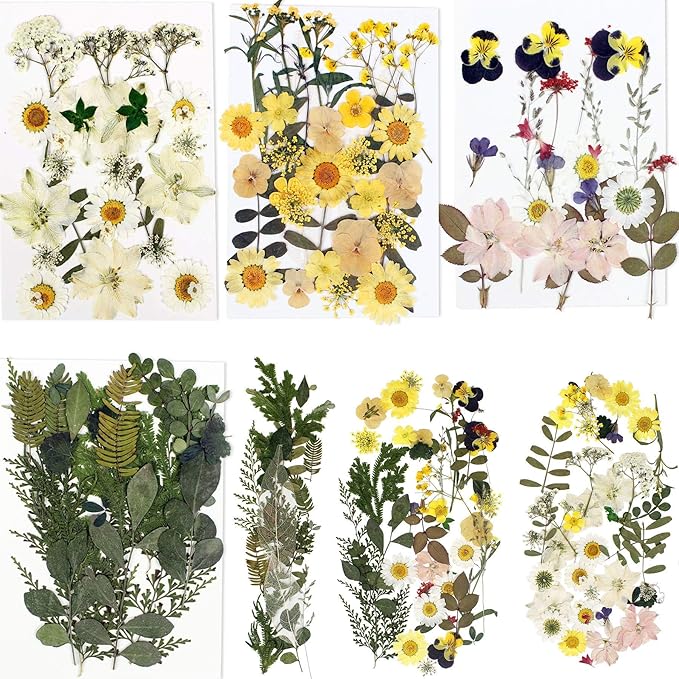 BIHRTC 100PCS Dried Flowers for Resin Real Dry Flower Natural Pressed Died Leaves Sunflowers Chrysanthemum Resin Small Colorful Pressed Flowers Daisies for Candle Jewelry Nail Pendant Making