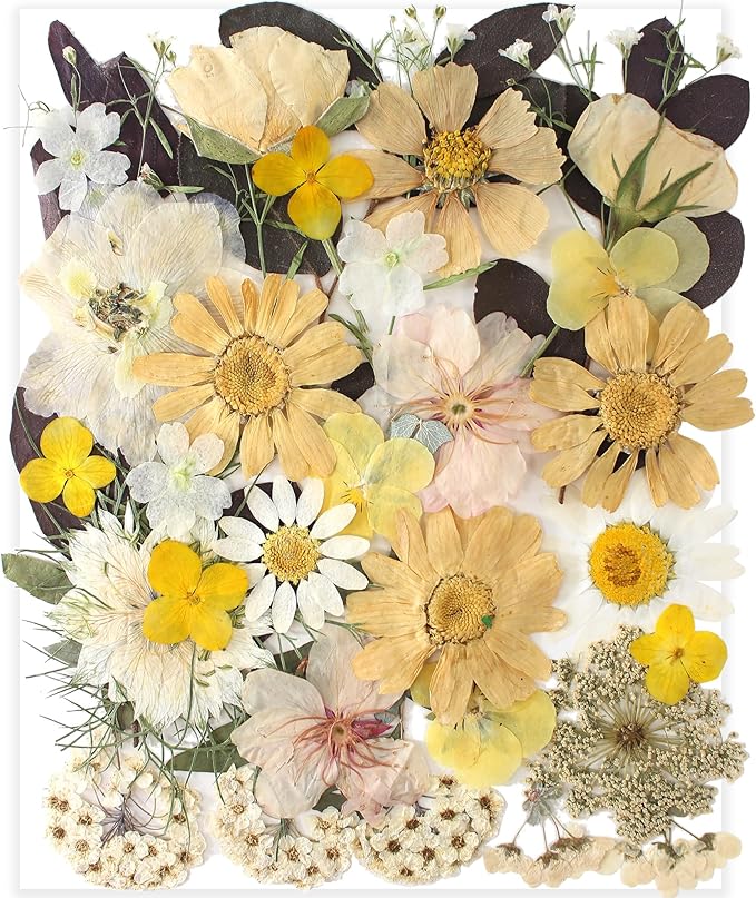 35pcs Dried Pressed Flowers for Resin Molds,YouthBro Real Natural Pressed Flowers for DIY Art Crafts,Candle Making, Nails Décor,Soap Making, Boho Style