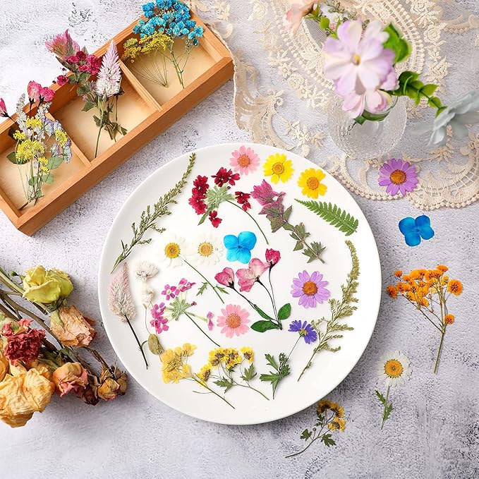 Nuanchu Pressed Flowers Bulk Dried Flower for Crafts Dried Wildflowers Leave Natural with Tweezer for Resin Mold Candles Cake DIY Christmas Craft Card Making Wedding Scrapbooking Supplies