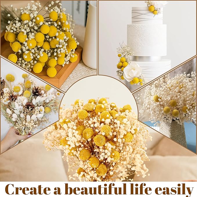 50 Pcs Dried Billy Balls & White Baby’s Breath Flowers, 16" 30Pcs Dried Yellow Craspedia & 20Pcs White Gypsophila Flowers, Rustic Boho Farmhouse Decor, Wedding, Cake, Tall Vase Decoration, DIY Crafts