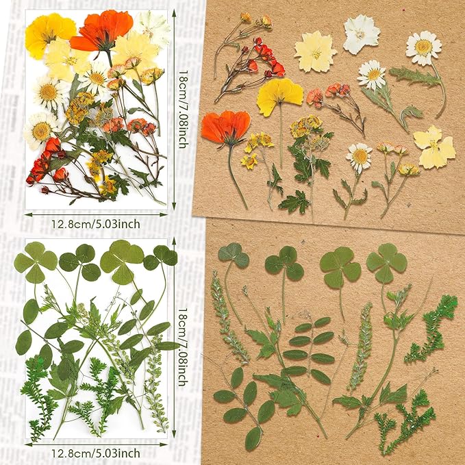 Nuanchu Pressed Flowers Bulk Dried Flower for Crafts Resin Real Dried Wildflowers Leave Natural with Tweezer for Christmas Craft Supplies Resin Mold Scrapbooking Nail Soap Candle Cake Card Making DIY