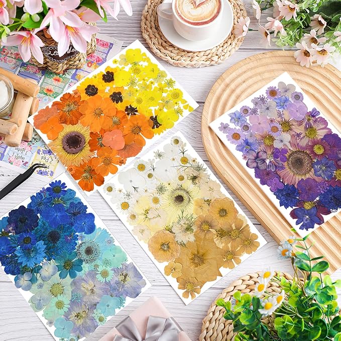Nuanchu 200 Pcs Pressed Flowers Bulk Dried Flower for Craft Resin Mold Bookmark Scrapbooking Nail Cake White Orange Natural Pressed Dried Floral with Tweezer DIY Gift(Bright Color,Natural Style)