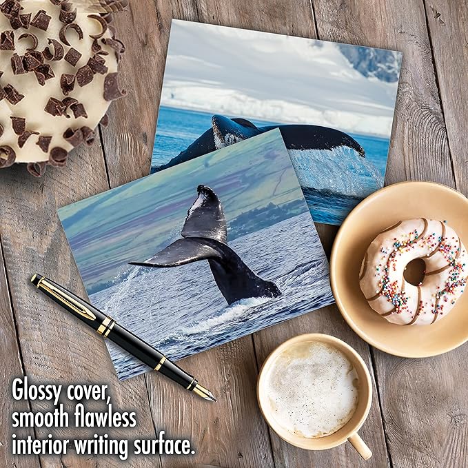 The Best Card Company - 10 All Occasion Blank Cards (4 x 5.12 Inch) - Nautical, Ocean, Sea Life Assortment of Notecards - Tales AM6839OCB-B1x10