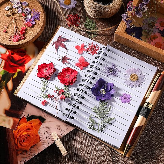 Nuanchu Dried Flower for Crafts Resin Pressed Flowers Bulk Real Dried Wildflowers Leave Natural with Tweezer for Resin Mold Scrapbooking DIY Nail Soap Candle Cake Card Making Christmas Craft Supplies