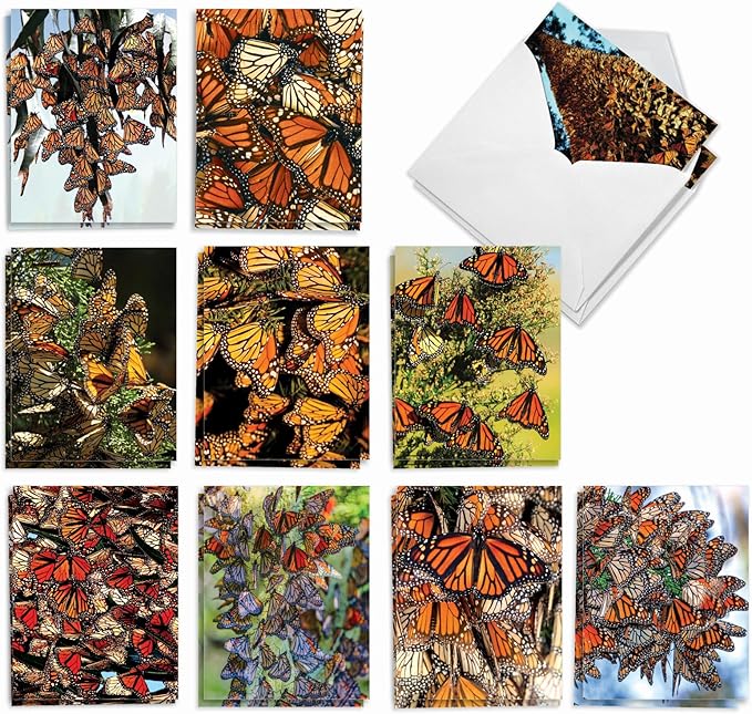 The Best Card Company - 20 Blank Notes with Envelopes - All Occasion Animal Assortment (10 Designs, 2 Each) - The Monarchs AM9538OCB-B2x10