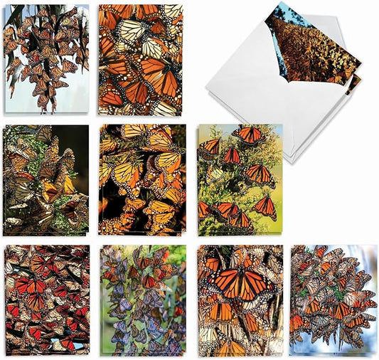 The Best Card Company - 20 Blank Notes with Envelopes - All Occasion Animal Assortment (10 Designs, 2 Each) - The Monarchs AM9538OCB-B2x10